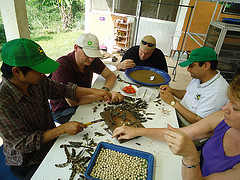 Missio, Mike, Satish, Barb working on seeds at ECHO's seed bank • <a style="font-size:0.8em;" href="http://www.flickr.com/photos/57374093@N03/8813907444/" target="_blank">View on Flickr</a>