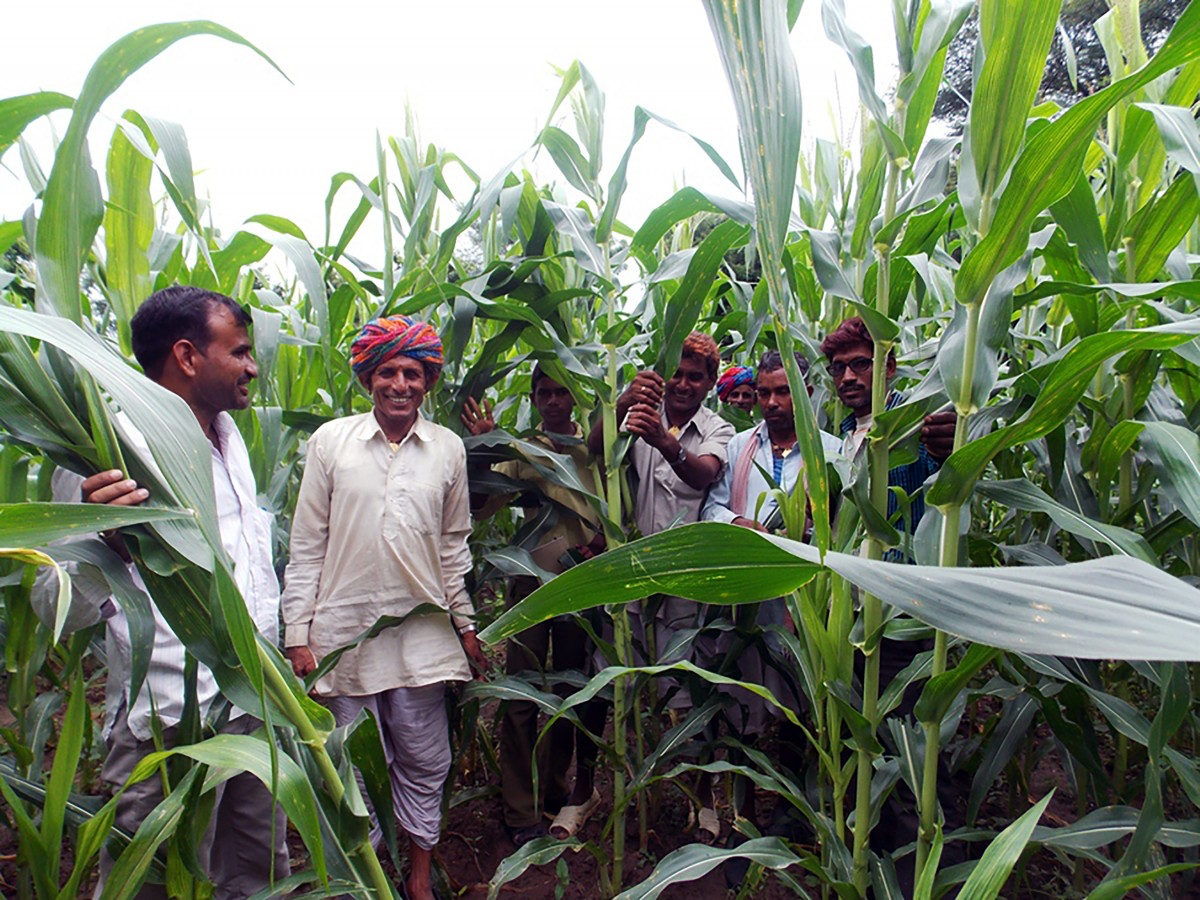 Local farmers